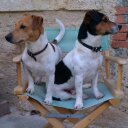 david funnell - @davidjfunnell - Twitter