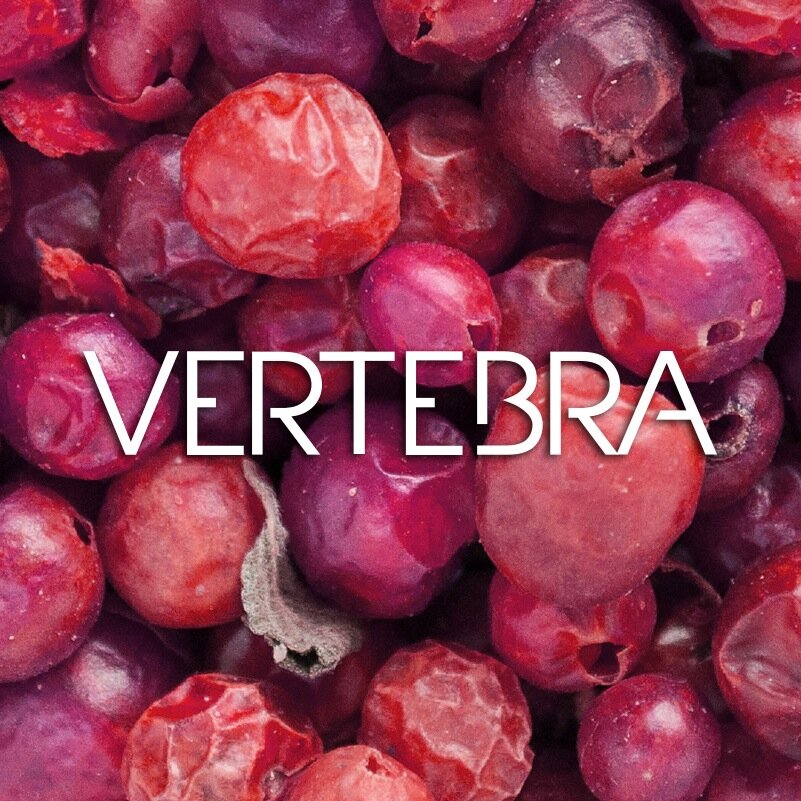 vtbstudio's profile picture. Photo team!