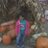 LaboyLaura's profile image