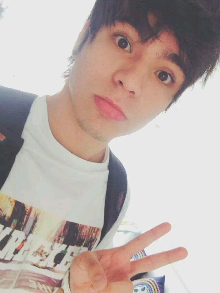 sigeme y te sigo