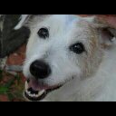 Cindy Perkins - @cperkinsart1 - Twitter