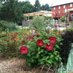 Adams County Winery (@gettysburgwine) Twitter profile photo