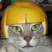 garagononn's profile picture. 