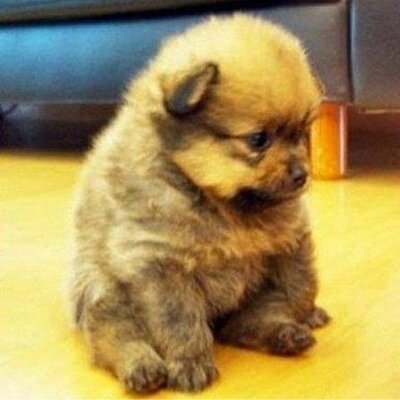 swtohunter's profile picture. 