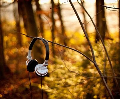 Elteraw's profile picture. 