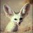KermaniF's profile image