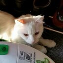 Patrick Knudsen - @PS83KNUDSEN - Twitter