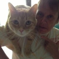 Suzanne Elliott (@41suzanne) 's Twitter Profile