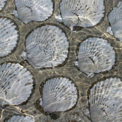 ha1uxpg_loveup's profile picture. 湧き上がる衝動を止めるな 僕らよ/サウダージ･見つめている･冷たい手･Search the best wayの１枚に魅せられてからポルノ一筋18年/初参戦は2003年:74ers/ﾍｯﾀﾞｰ:@pgmu2ki さんより頂き物
