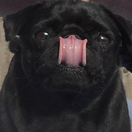 TheSnerit's profile picture. 