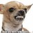 StraightUpMama's profile image