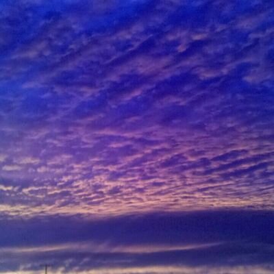 blinket5150's profile picture. 