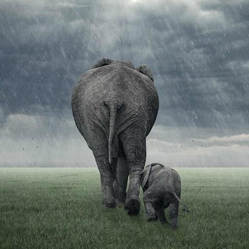 SIRVIENTE DE DIOS,COMPROMETIDO CON UNA BELLA FAMILIA, CON MUCHO AUN POR DAR. LUCHADOR CONTRA LO IMPOSIBLE.