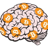 Bitcoin's Brain(@BitcoinsBrain) 's Twitter Profile Photo