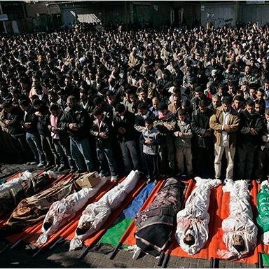 PalestineSW's profile picture. 