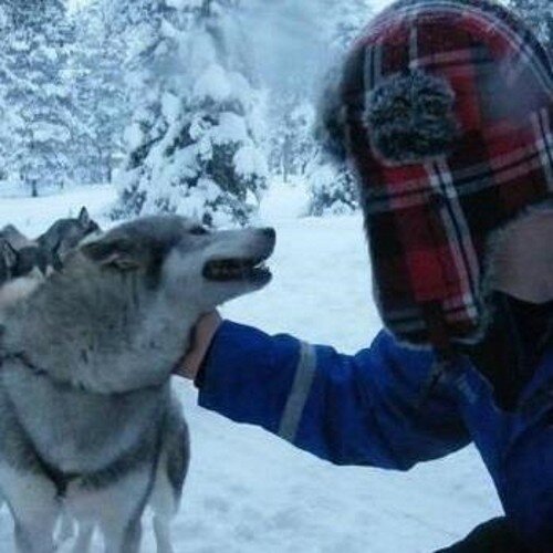 DEWAR89's profile picture. 