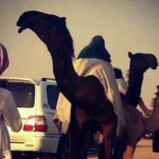 ‏مكسبي خوة صبي على ﺎلشده عوين   محزم فيء ﺎليوم ﺎلاسود يجمل لابتهہ