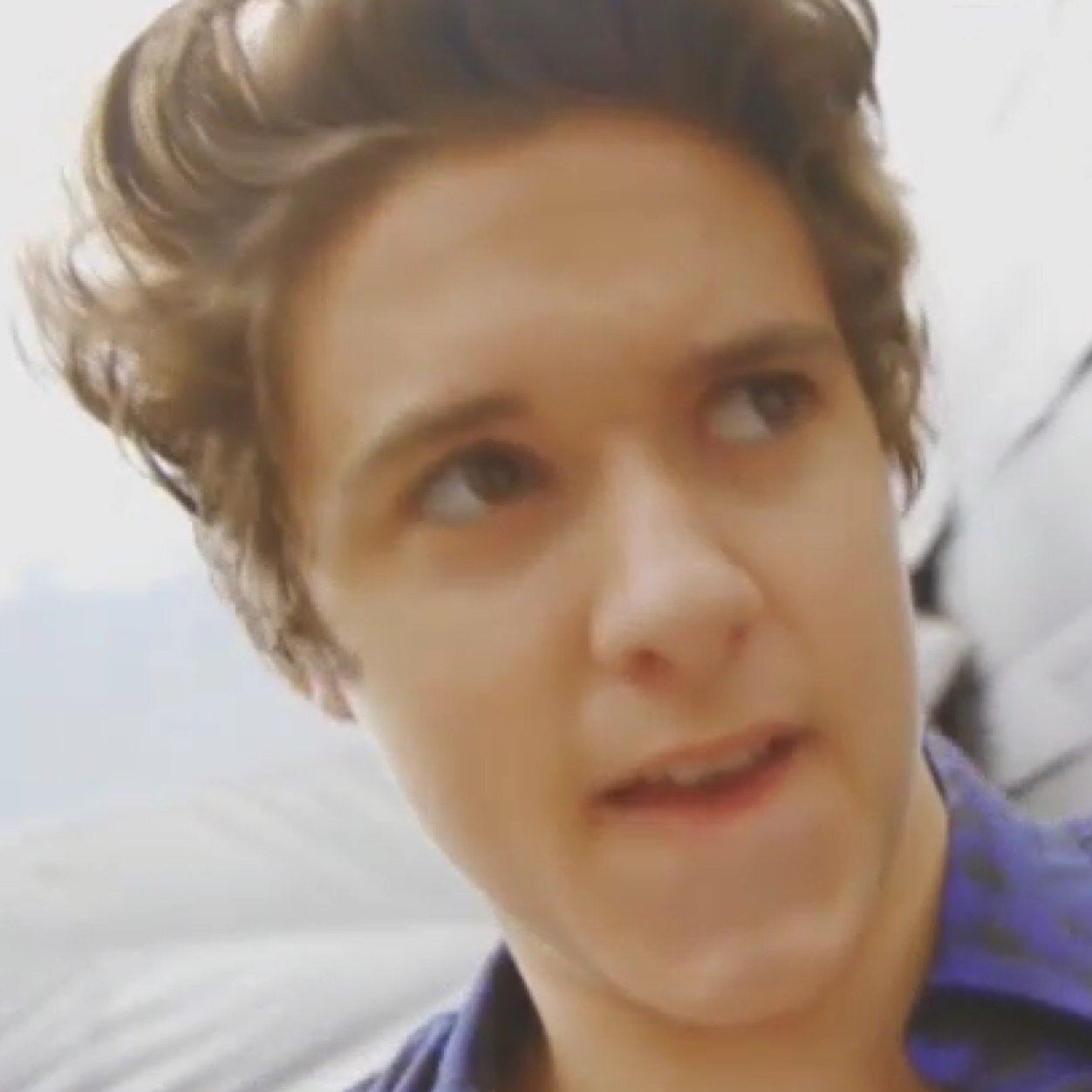 @rejectbrad