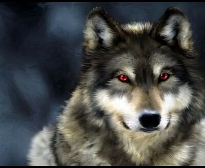 BZK_Wolf's profile picture. my goal is 100 followers 100th follower gets a shout out