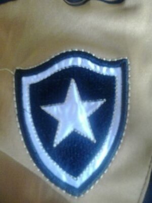 vamosbotafogo's profile picture. 