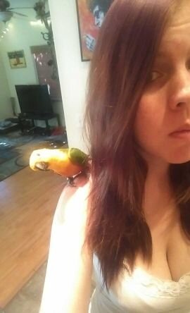 beachbumtits's profile picture. 