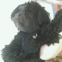 Mary Convery - @convery59 - Twitter