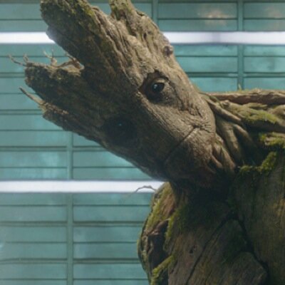 I am Groot. [Marvel RP]