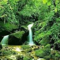 PerezZenith's profile picture. *-*Me gusta la musica y me encanta bailar*-*
*-*