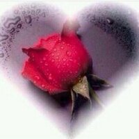 noor (@miss_noor222) Twitter profile photo