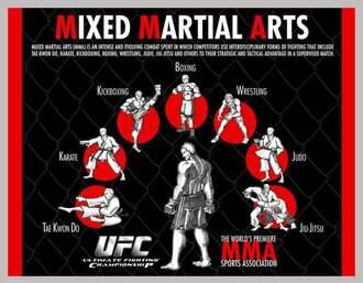 2nd @Bad2BoneMMA acc. Co-Founder #TeamMMA44Life. #IrishMMA #WMMA
