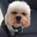 Karen Maxwell - @Karen_RubyMoo - Twitter