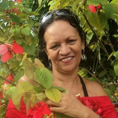 HelpMhelpo's profile picture. Operação Tim Beta! !