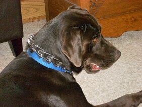 Gardenview's profile picture. Avid book reader!