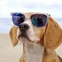 Vinotinto. Publicist-Comercial Bank Especialist. Global financial bussines. Insurances Services. Guns n' Roses, #NED fan. Married whit Children. Scout Forever.