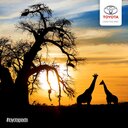 Ebrahim Nana - @Eanana3 - Twitter