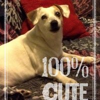 Marmalite (@marma_lite) 's Twitter Profile Photo