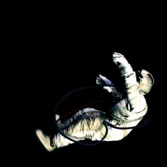 ndonandon's profile picture. revival my ass