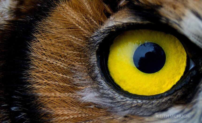 RefinyR's profile picture. Quality is not an act, it is a habit - Aristotle