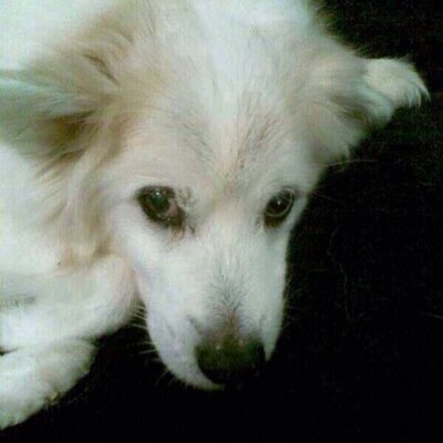 jillwazowski's profile picture. 