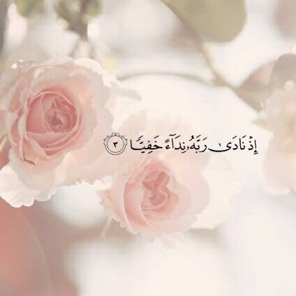 Shosho44786