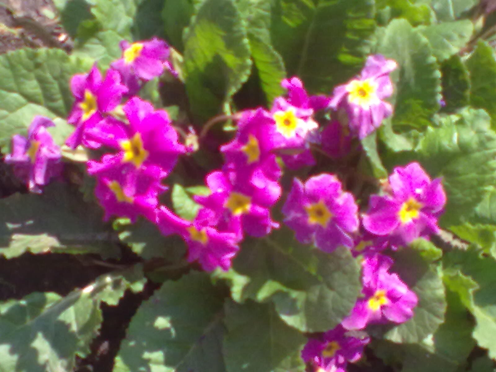 solyaris69's profile picture. 