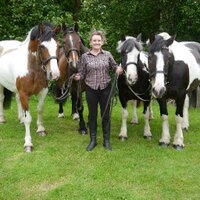 LochLomondPonyTreks (@lomondponytreks) 's Twitter Profile Photo LochLomondPonyTreks (@lomondponytreks) 's Twitter Profile Photo