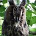 Roelof Duijff (@rd_sfl) Twitter profile photo Roelof Duijff (@rd_sfl) Twitter profile photo