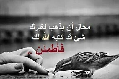 S16505903's profile picture. 