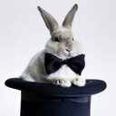 Nelson Staples - @Magic_Staples - Twitter