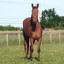 West Grove Stables - @WestGroveStable - Twitter