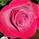 Bryn Small - @BrynSmall22 - Twitter