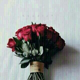 أدآمک اللہ لي ، يا نِعمه أسعدت قلبي كثيراً ♡♡*

@btoolassiri