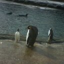 Maureen Jensen - @mjensen751 - Twitter