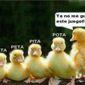 Hay que llegar a los 1000 seguidores :)